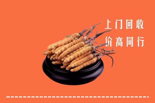 高价求购：舒城县回收散虫草