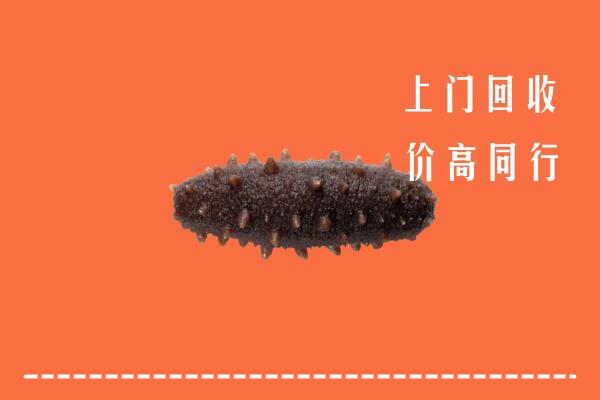 舒城县回收海参